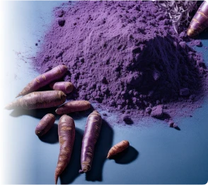 Purple Carrot Powder ingredient